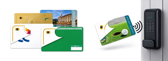 RFID Cards